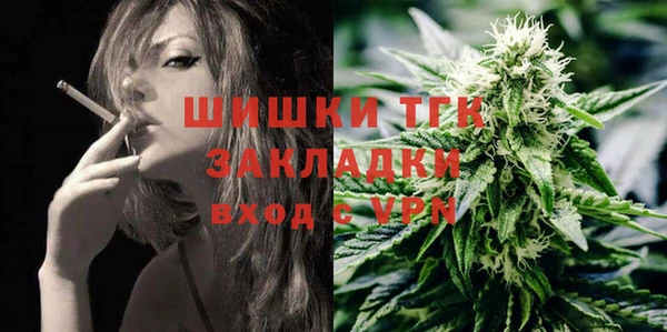 амф Липки