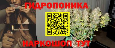 ешки Краснознаменск