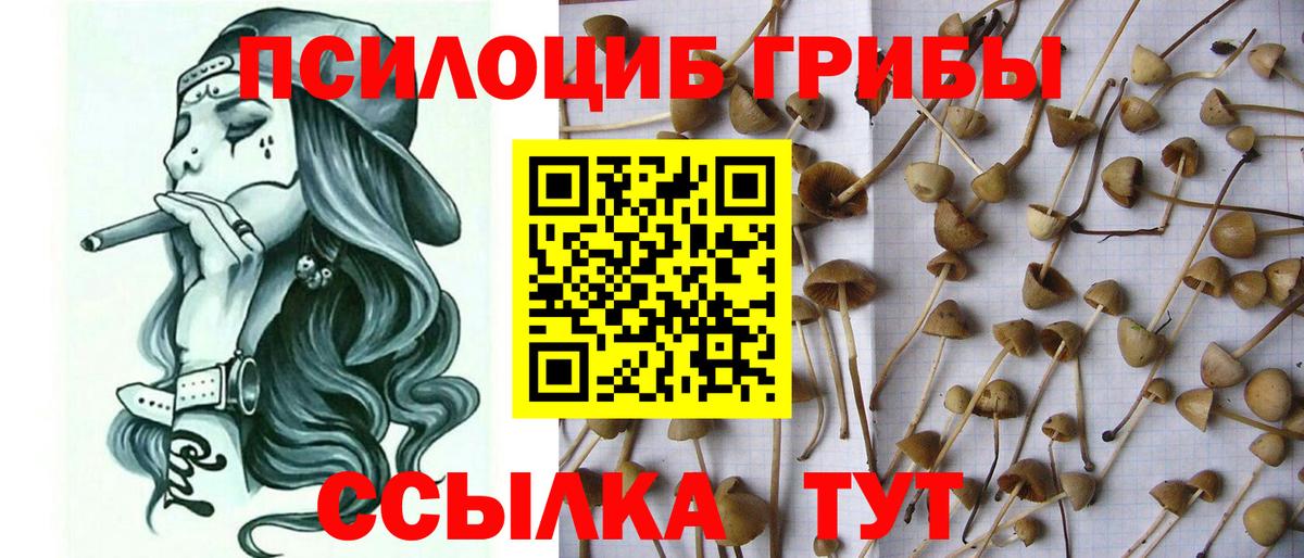 Псилоцибиновые грибы ЛСД Оренбург